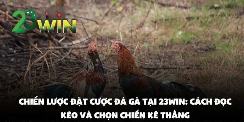 Chiến Lược Đặt Cược Đá Gà Tại 23win: Cách Đọc Kèo Và Chọn Chiến Kê Thắng