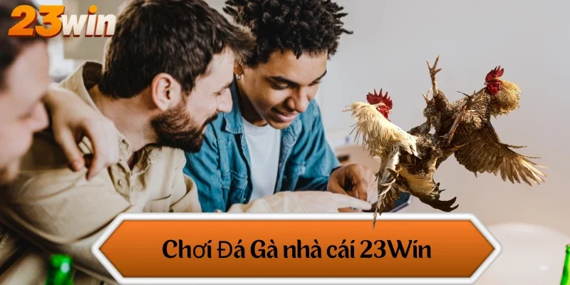 Chơi Đá Gà nhà cái 23Win